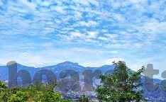 777麻豆视频-777麻豆视频，数字时代下的文化交汇与审美新体验