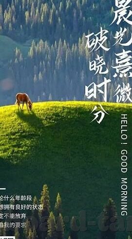 国产裸体舞一区二区三区-国产舞蹈艺术的多元探索，一区、二区、三区的艺术魅力