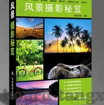 麻豆传媒先锋影音-麻豆传媒先锋影音，艺术与创新的视听盛宴