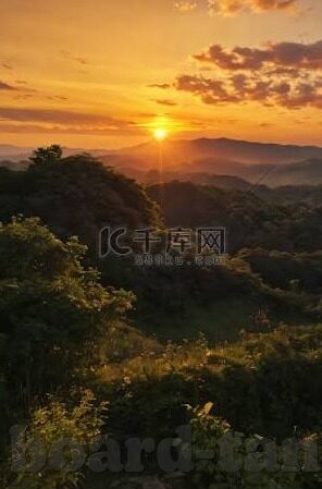 日本高清一道本一区二区三区-探索日本高清影像资源的多元化分布