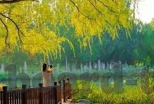 日韩av电影毛片在线看-日韩影视文化，一个值得深思的视角
