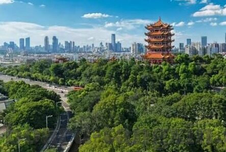 亚洲av成人一区国产精品麻豆-一、探讨文化差异与网络边界